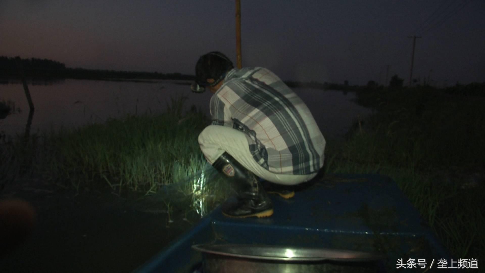 300斤小龙虾卖2小时卖完,爽吃5斤麻辣小龙虾