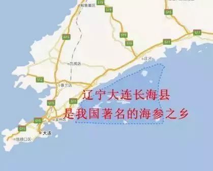 海参你必须知道的那些事,海参市场内幕视频