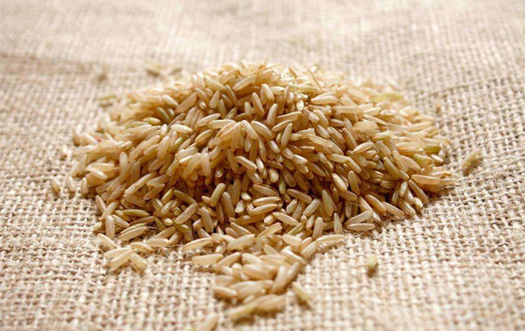 渣粮、品牌粮和自配粮，新手仓鼠粮的选择