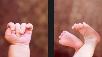 家有小公举必备,家有小公举的视频