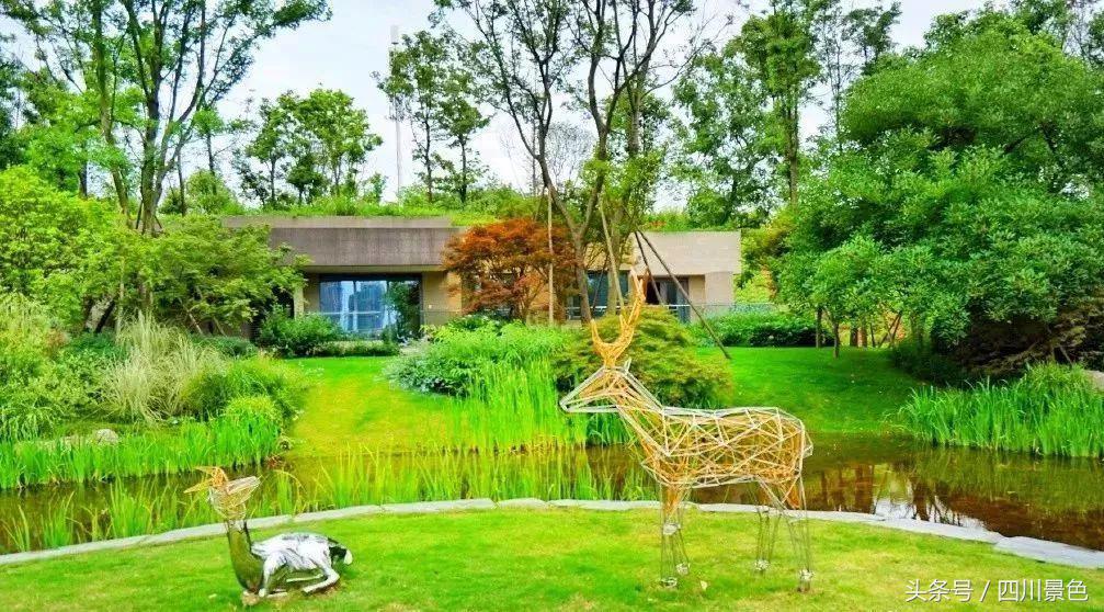 小众又免费！成都地铁直达的天然氧吧！清凉洗肺又解暑！