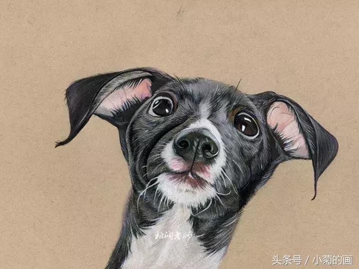 彩铅素描都是用的哪种彩铅,零基础学彩铅要先学会素描吗