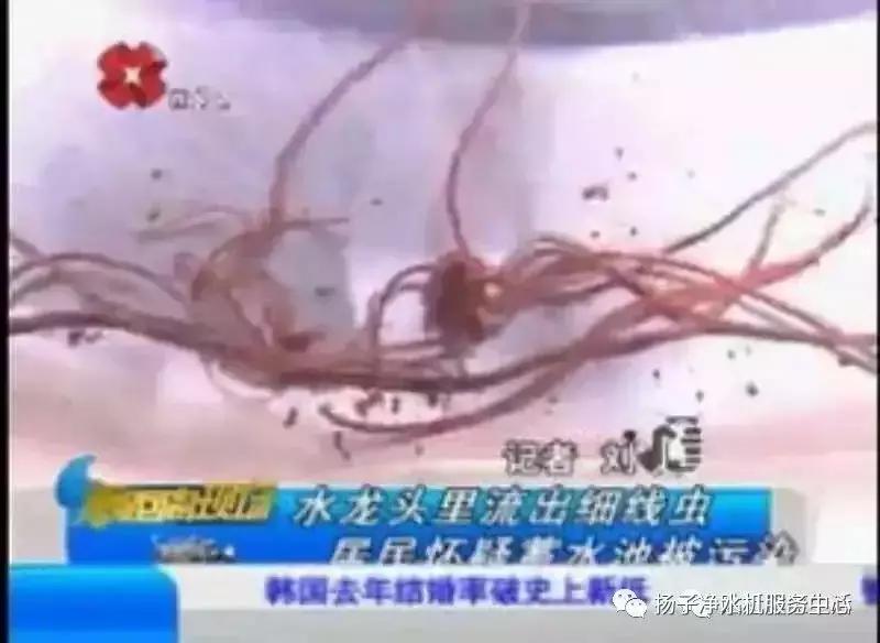 再也不用花几千块钱装空调了,不想花钱买净水机