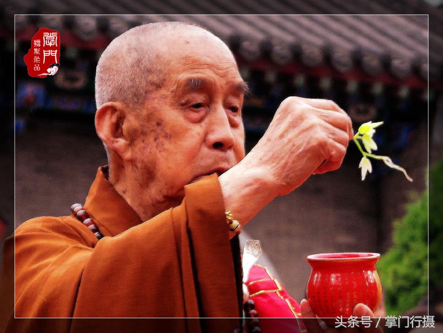 圆山长老真实身份曝光,圆山长老为何出名