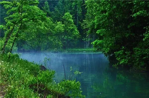 国学经典20句做人处世的人生哲理,学国学经典学人生哲理