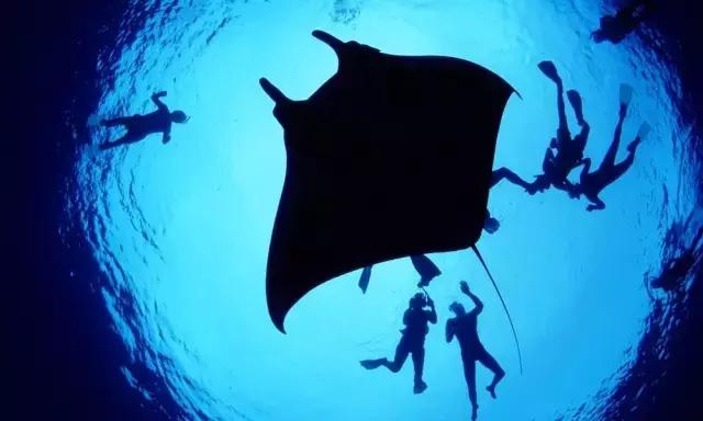 最适合浮潜的海,十大浮潜地点