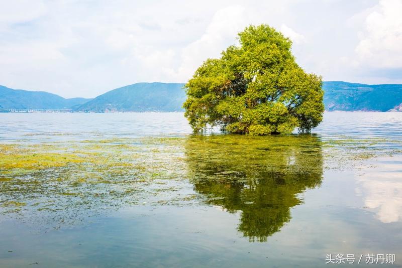 洱海治理周边民宿污染,洱海治污计划腾退部分客栈