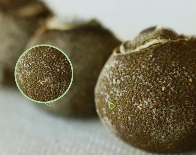 揭秘小青柑茶叶内幕,行业内幕大揭秘青柑普洱