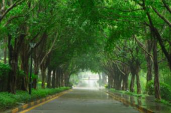 金科美好家,金科美好家四季阳光