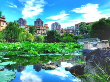 金科美好家,金科美好家四季阳光