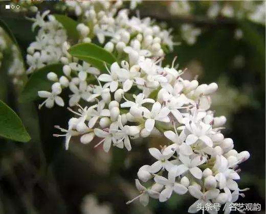 中式书房好物,书房中式装修