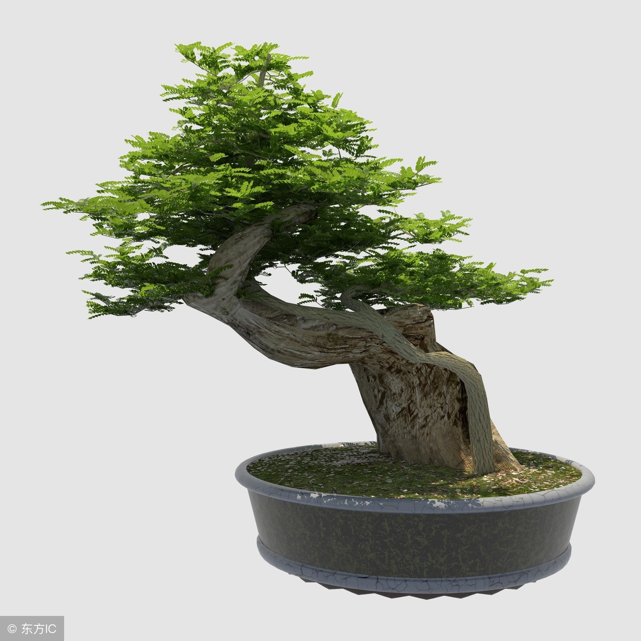 绝美优雅的盆景欣赏（太漂亮了，快分享给朋友吧！）