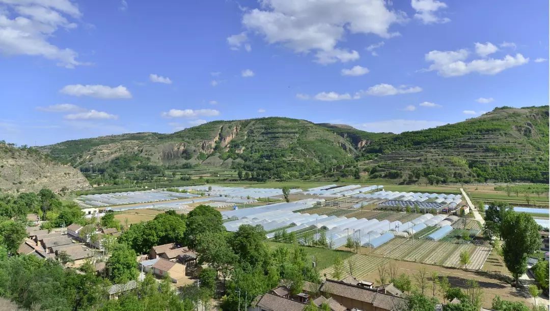 长武避暑胜地,长武青龙山避暑