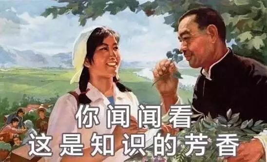 这一届的父母难带,这一届父母好难带