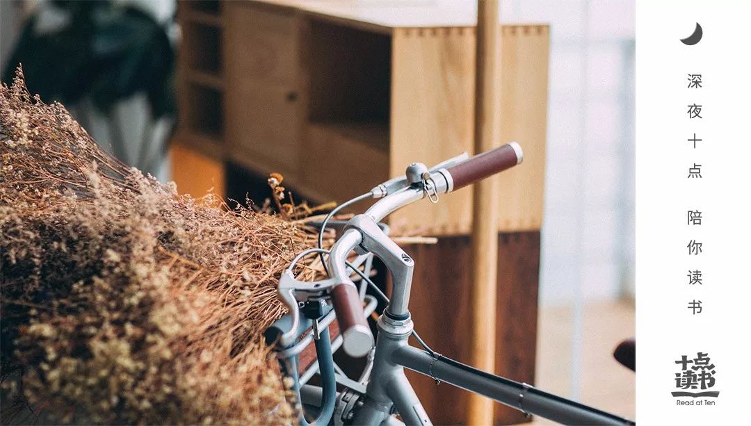 985大学学霸演讲震撼全场,985教授演讲