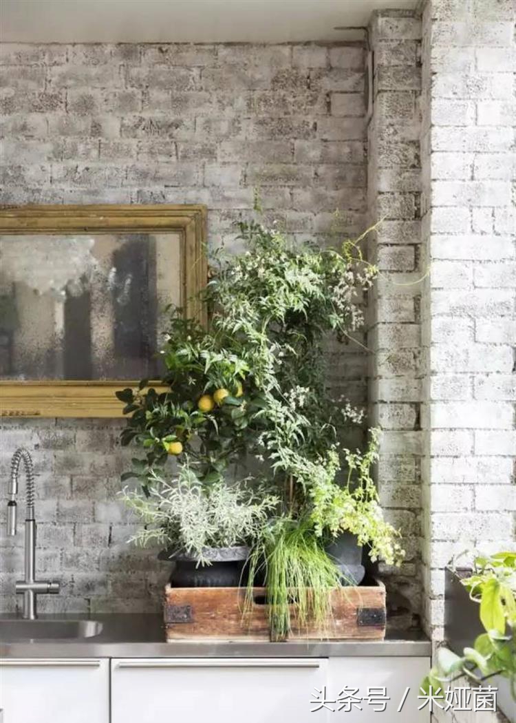 夏季植物晒伤怎么缓解,夏季炎热中暑如何自救