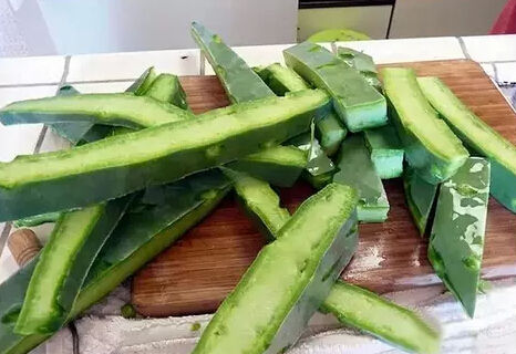 多肉植物能吃吗知乎问答,多肉植物能吃吗视频