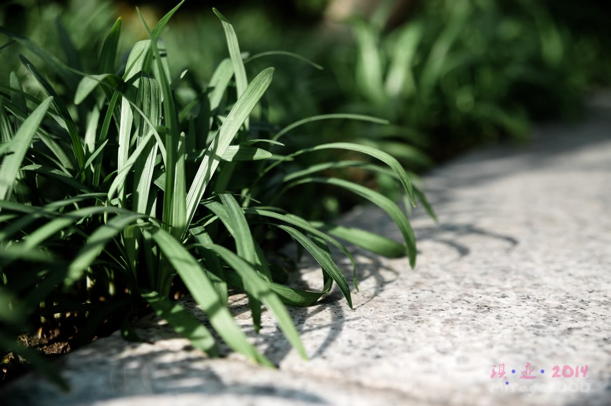 济州岛疯狂购物宝典,济州岛市区买买买攻略