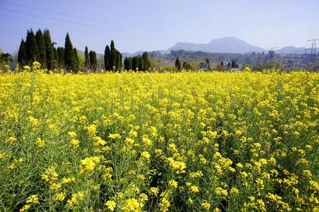 前三季度昆明各区县gdp,昆明各区县gdp