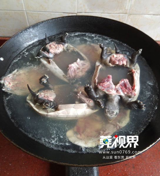 古法熬制的龟苓膏,润心堂古法龟苓膏