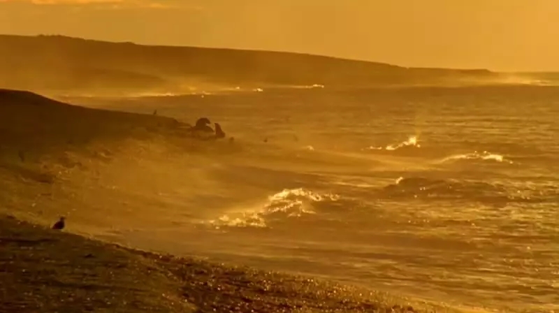 十部震撼神级片,9部堪称神作的纪录片火山