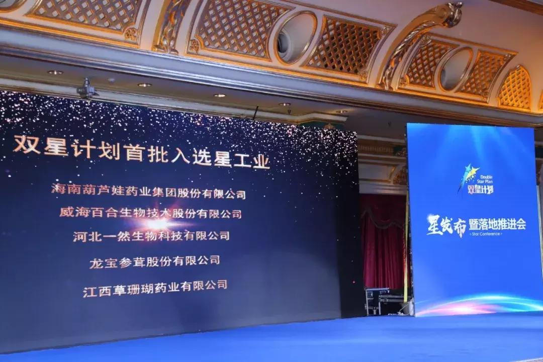 双星发布会,双星新品发布会