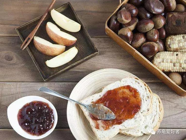 龟吃什么食物要煮熟,龟吃了大补的食物