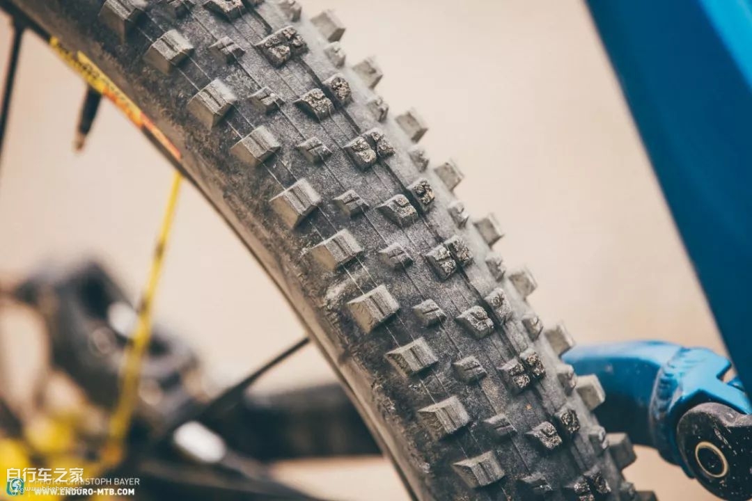 谁可登上德意志第一的宝座?CanyonTorque对决YTCapra