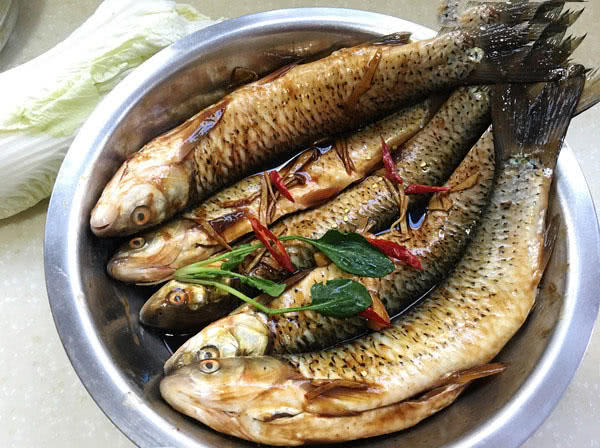 槌￠奔鍜岃崏楸煎摢涓姏姘斿ぇ,鑽夐奔璺熼场楸煎摢涓姏姘斿ぇ