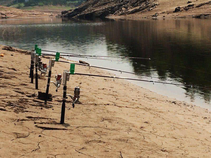 槌￠奔鍜岃崏楸煎摢涓姏姘斿ぇ,鑽夐奔璺熼场楸煎摢涓姏姘斿ぇ