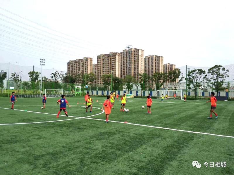 你们奔跑时的样子,你们在赛场上拼搏的样子