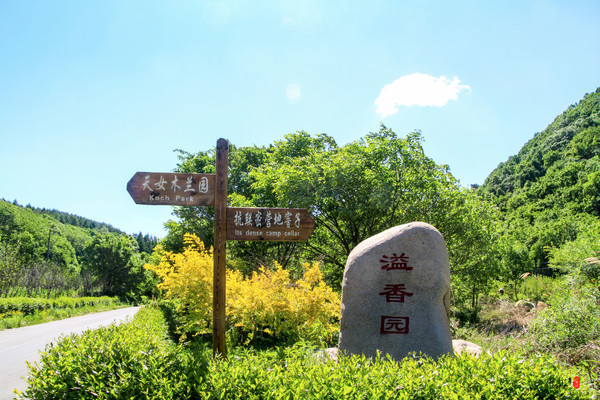 涓囧瓧鏀荤暐,涓囧瓧瑙ｆ瀽鏀荤暐