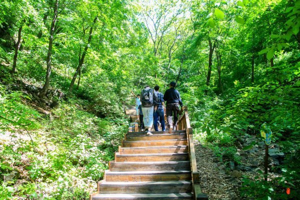 抚顺攻略,抚顺深度游攻略游记