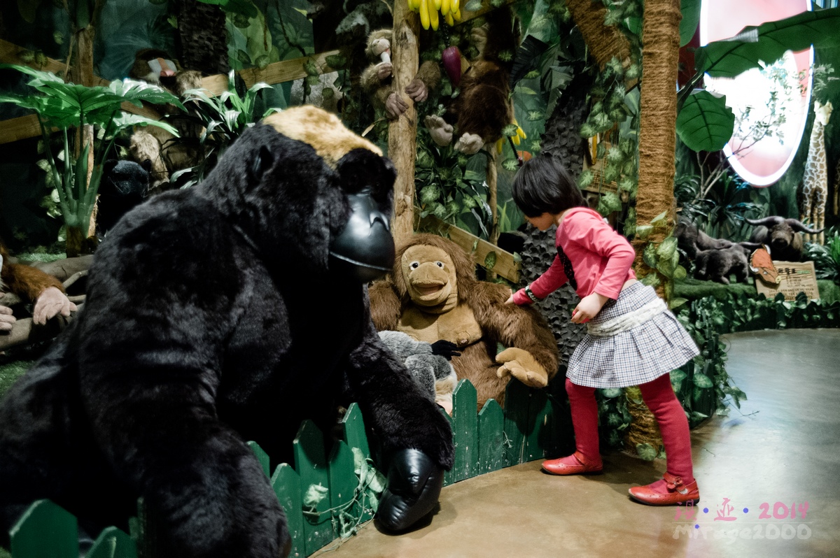 泰迪熊博物馆济州岛拍照攻略,济州岛假泰迪熊博物馆