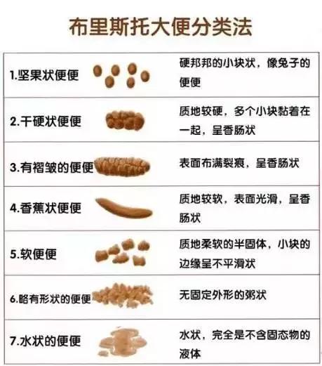 “嗯嗯”和“嘘嘘”里都是门道!大小便看一眼,就是一次小体检!快学起来