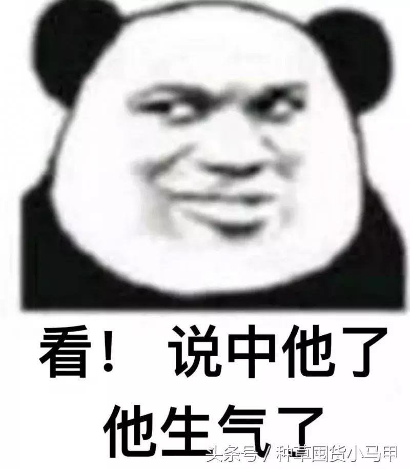 cosme哪个值得买,cosme口碑最好的产品