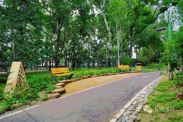 工体为何那么出名,工体为什么叫天花板