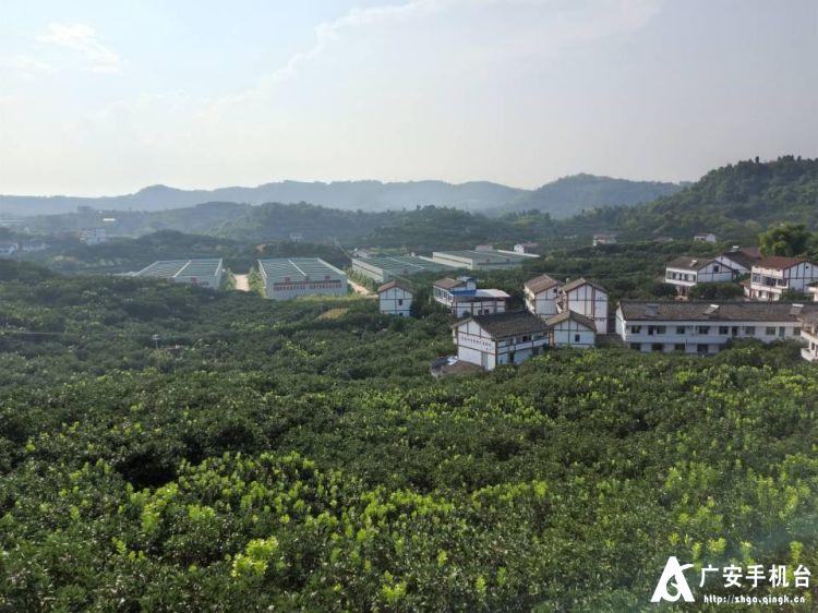 东西部扶贫劳务协作简报,东西部劳务协作扶贫示范