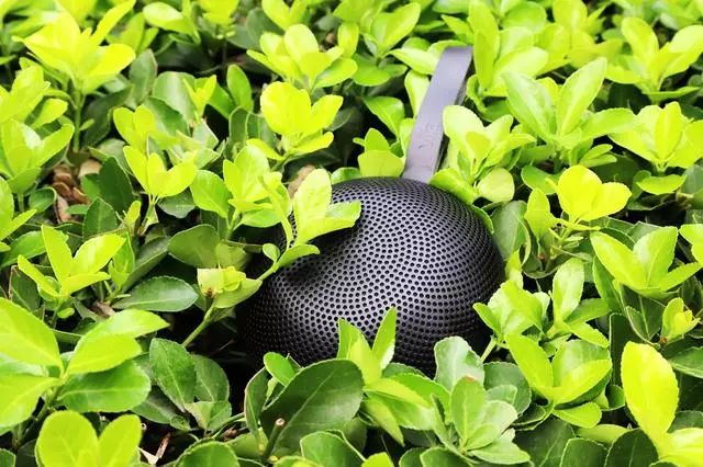 德国蓝牙音箱测评,法国蓝牙音箱评测