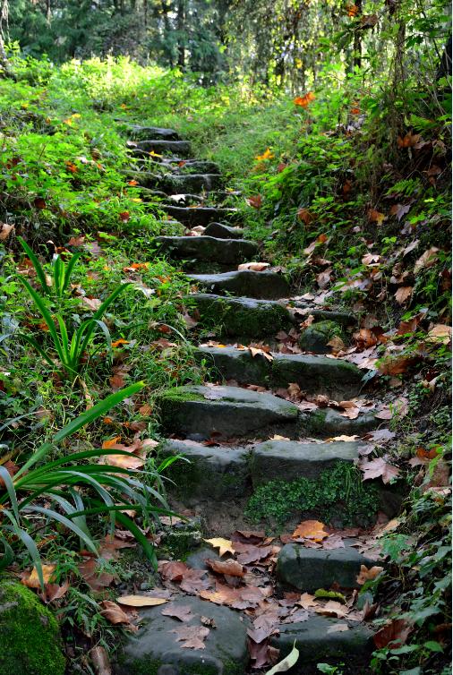 怎么给大熊猫和小熊猫取名,150秒看懂大熊猫起名那些事儿