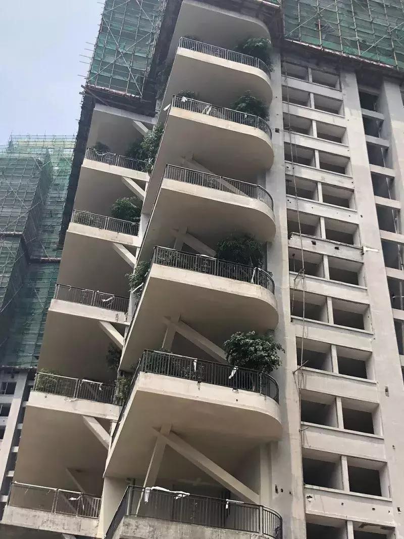 得了吧！除了瞎嚷嚷，你根本不懂什么是城市森林花园