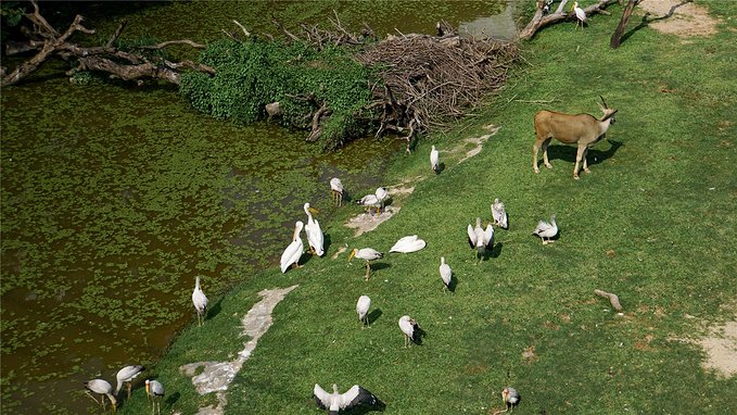带小孩去长隆欢乐世界畅玩一天,暑假带娃去广州长隆野生动物世界