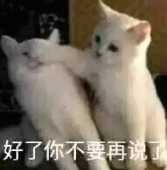 这些王室婚礼上的经典亲亲，看得人真是少女心泛滥