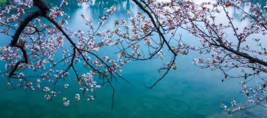 分享随手一拍都是美景,分享随走随拍大自然的美景