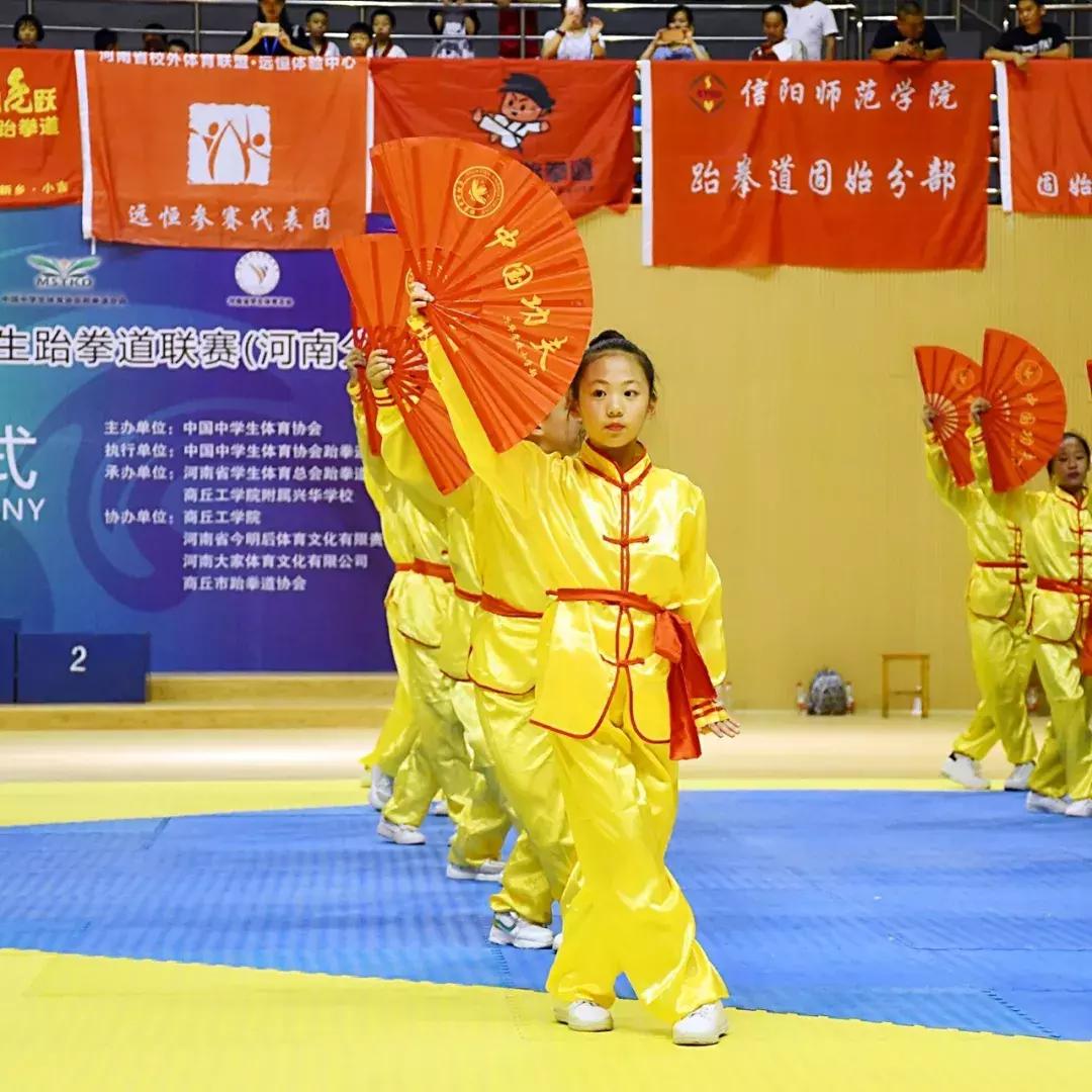 河南第十二届学生跆拳道比赛商丘,2018商丘跆拳道比赛视频