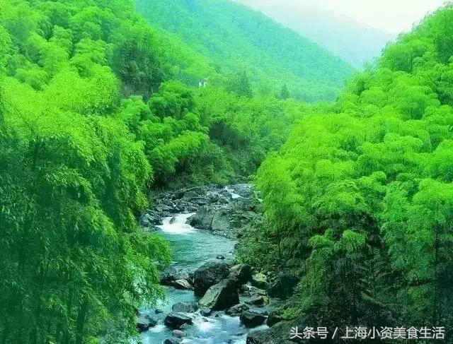 盘点十个江浙沪漂流玩水胜地,江浙附近哪个漂流最好玩