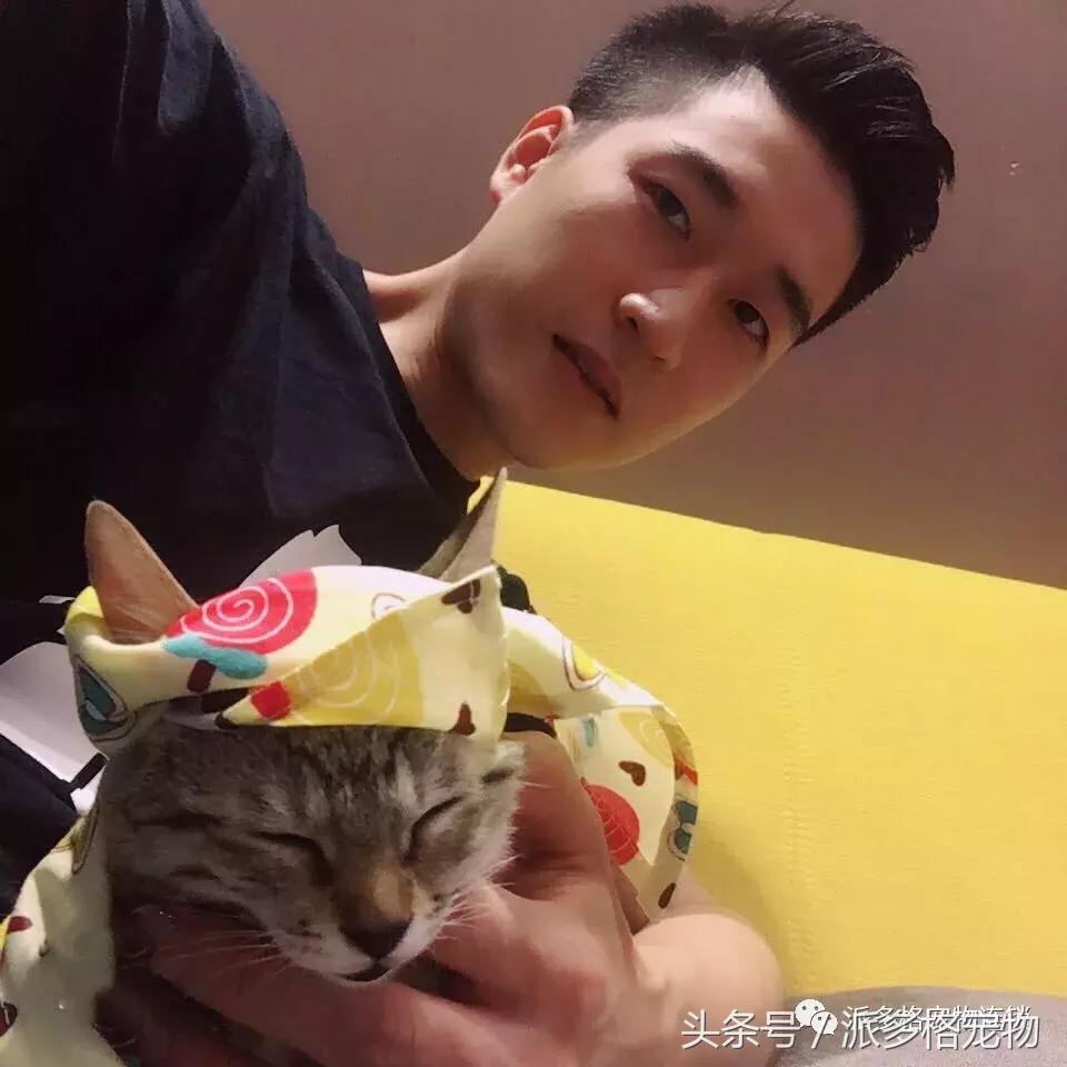 到底是什么让他开了一家派多格宠物店，还想再开一家？