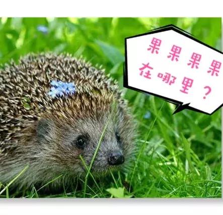 动物好伙伴之动物欢乐岛,超级有趣的动物知识