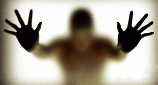 汤兰兰案件最终判几年,汤兰兰事件央视网全过程