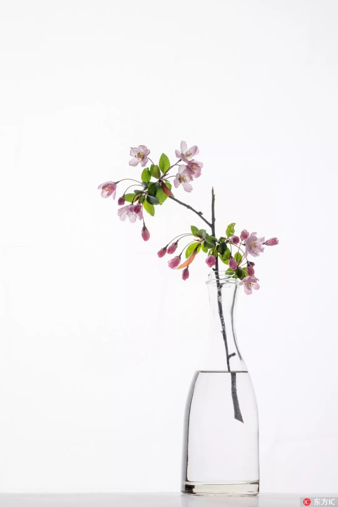 中国传统文化常识和民俗别称,中国民俗别称大全